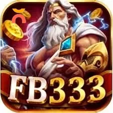 Logo fb333